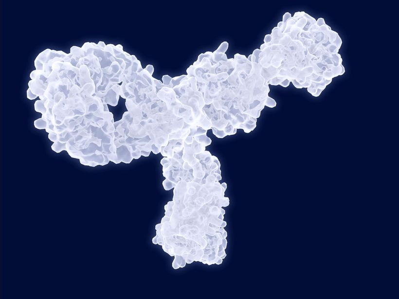 Article feature image