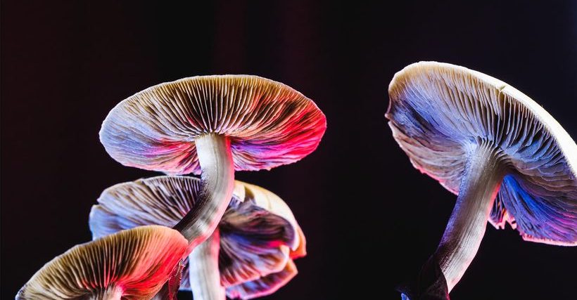 Article feature image