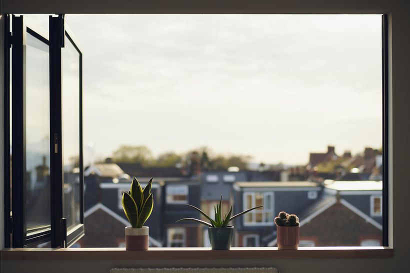 Article feature image