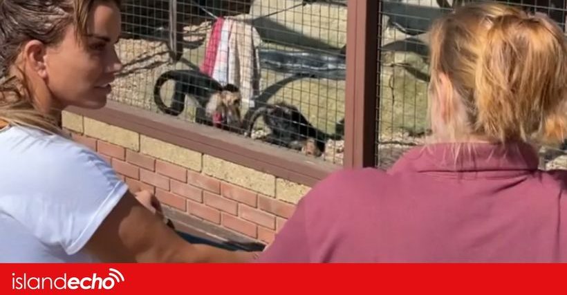 Article feature image