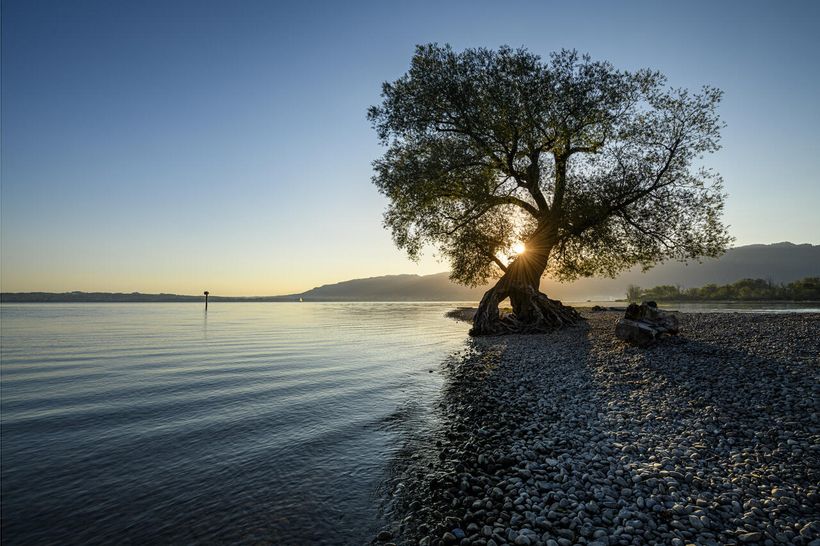Article feature image