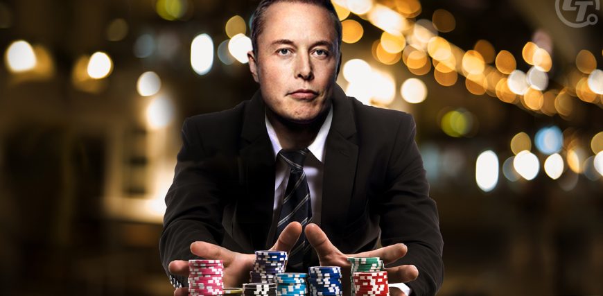 Musk-Crypto-Betting-More-Accurate-Than-Traditional-Polls.jpg