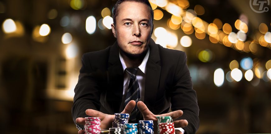 Musk-Crypto-Betting-More-Accurate-Than-Traditional-Polls.jpg