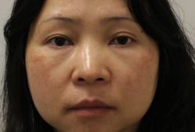 82696693-14024571-Jian_Wen_pictured_was_found_with_Bitcoin_wallets_worth_more_than-a-2_1730462627631.jpeg