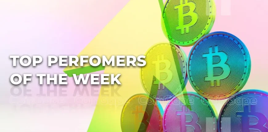 Top-Perfomers-Of-the-Week-1.webp.webp