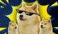 doge.webp.webp