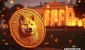 dogecoin-trump.png