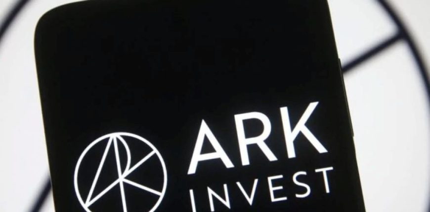 Ark-Invest-David-Puell.jpg