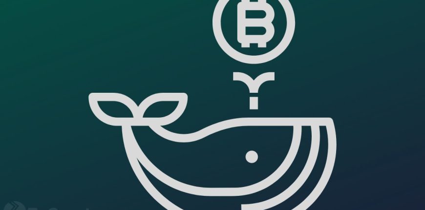Bitcoin-Worth-More-Than-3.45-Billion-Has-Exited-Crypto-Exchanges-Amid-BTC-Whales-Going-Parabolic.jpg