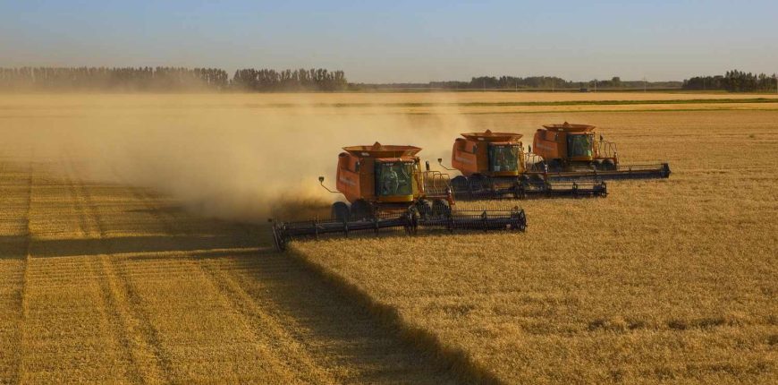 Harvesters-9b5043d72d3849bfb59ba7b28befddc0.jpeg
