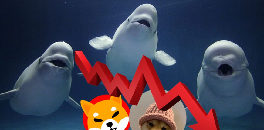 Picture19_357d3a.png