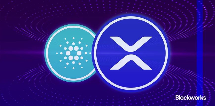 cardano-xrp.jpgw1920q75webpfalse.jpeg