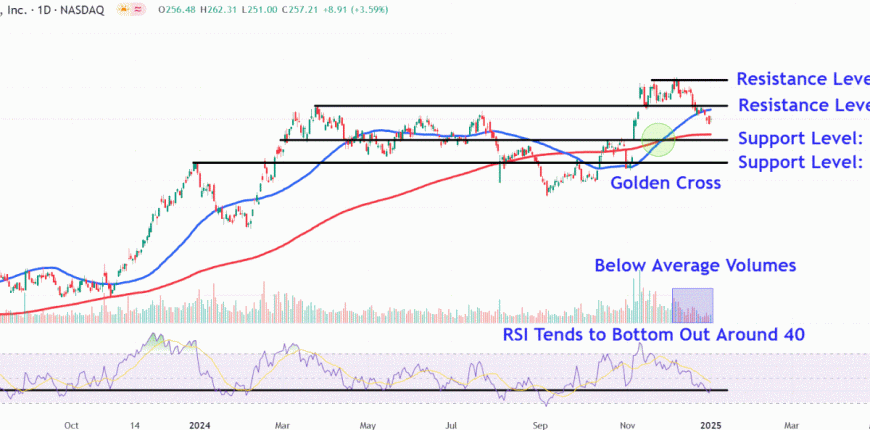 COINChart-dc55bd96edb9473a9c9c39913e6789ce.gif