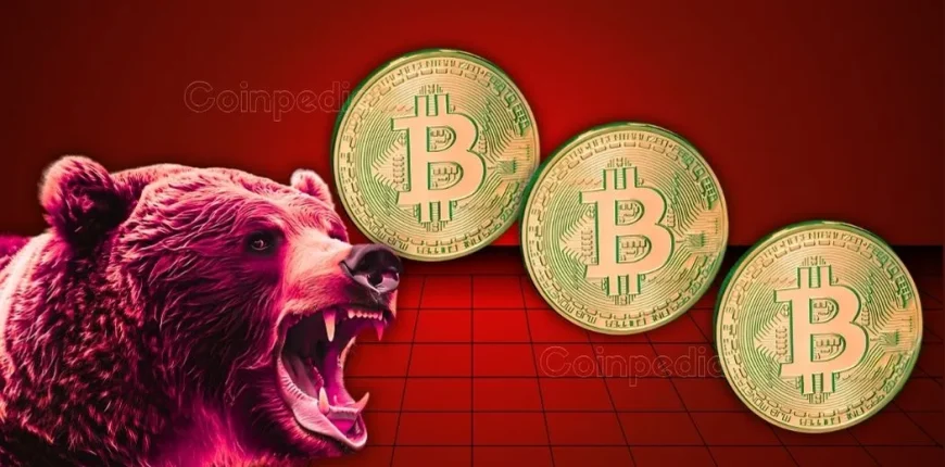 Crypto-Markets-Plunging-Down-as-Bitcoin-BTC-Price-Drops-Below-94000-Has-the-90000-Targets-Activated.webp