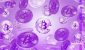 falling-purple-bitcoins.jpgw1920q75webpfalse.jpeg