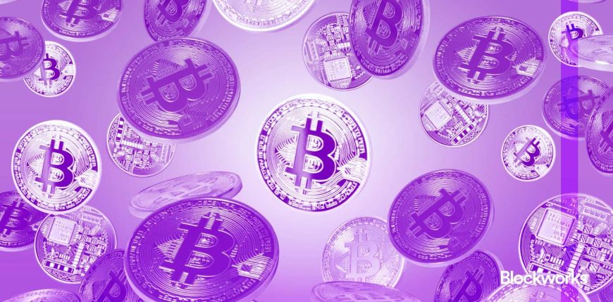 falling-purple-bitcoins.jpgw1920q75webpfalse.jpeg