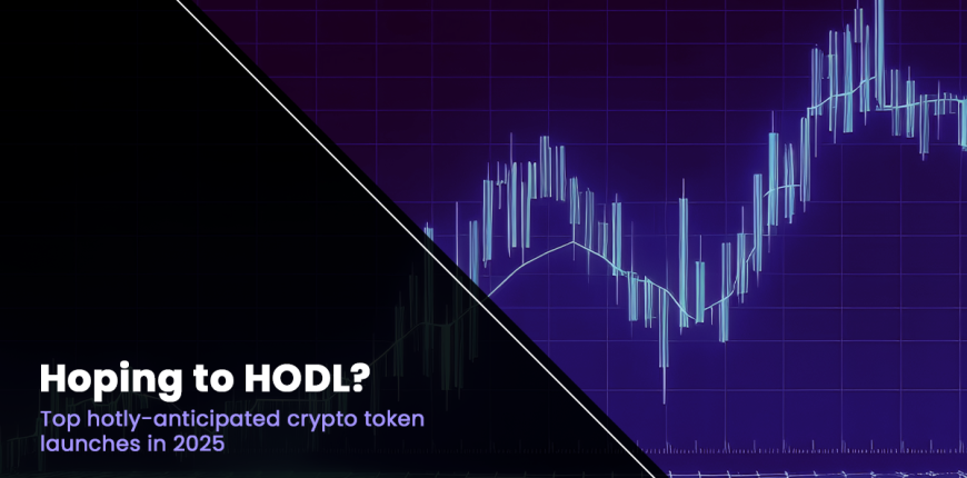 Hoping-To-HODL.png
