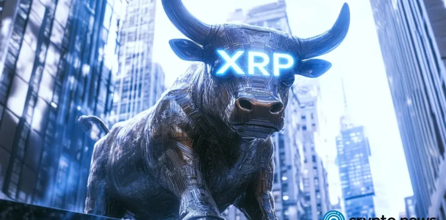 crypto-news-XRP-bull-option02.webp.webp