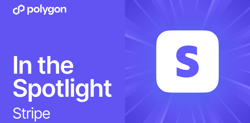 67dc112b8a9b831755806d4e_Spotlight_Stipe.png