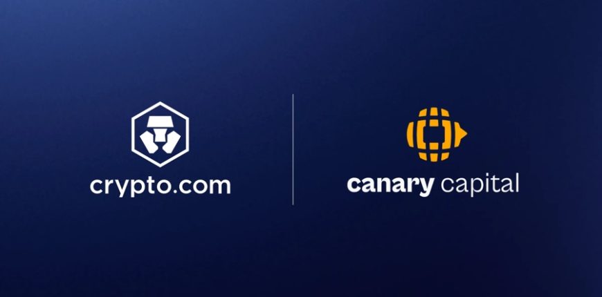 Crypto.com_id_e1a78c9e-d6fe-4416-b942-b4694795d7c7_size900.jpeg