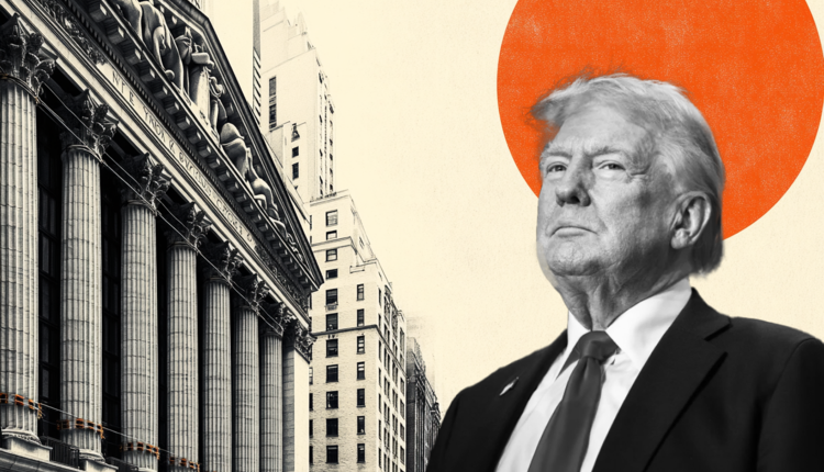 Trump-7_Large.png