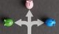 White-divided-road-sign-mark-on-asphalt-with-3-different-colored-piggy-banks-going-to-different-dire.JPEG