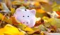autumn-16.9-1200x675.jpg