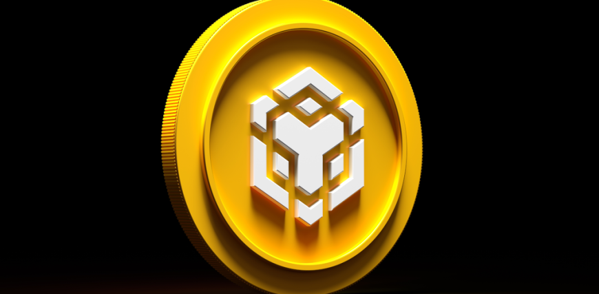 bnb-token-gID_7.png