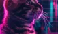 cropped-crypto-news-Chart-of-the-week-Popcats-rally-shows-signs-of-exhaustion-option02.webp.webp