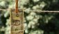 selective-focus-shot-dollar-bill-hung-from-wire-with-clothespin-1024x683.jpg