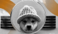 wif-meme-coin-gID_7.png
