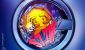 01974259-358a-7bb6-81bb-6d257c8c4c76.jpeg