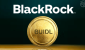 BlackRocks-BUIDL-Now-Used-as-Crypto-Trading-Collateral.png