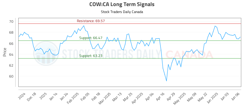 COW-CA_LONG_lineChartGenerator_2025-06-08_10-53-17.png