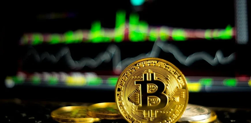 Crypto-Friendly-Cards-and-Their-Benefits.webp.webp