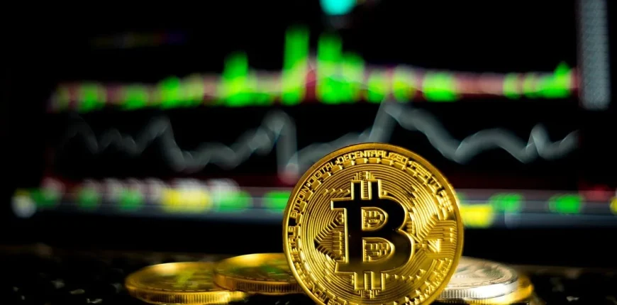 Crypto-Friendly-Cards-and-Their-Benefits.webp.webp
