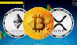 Crypto-Price-Today-June-24.png
