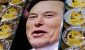 Elon-Musks-Dogecoin-Hype-Will-Return-Soon-Crypto-Expert.jpeg