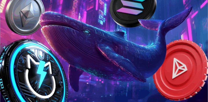 Solana-Tron-Ethereum-and-Best-Crypto-to-Invest-in-that-Whales-are-Obsessed-With-1024x574.png