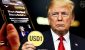 Trump-Backed-WLF-Plans-USD1-Audit-and-New-Crypto-App.jpg