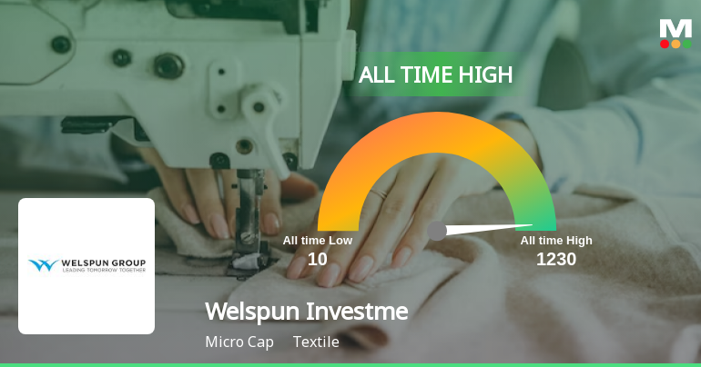WelspunInvestme_priceRelatedfactors_1632458.png