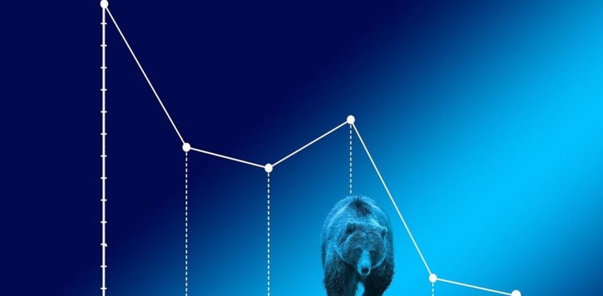 bear-market-pixabay_1722572441848_1750394128409.jpg