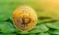 bitcoin-mining-renewable-energy.jpeg
