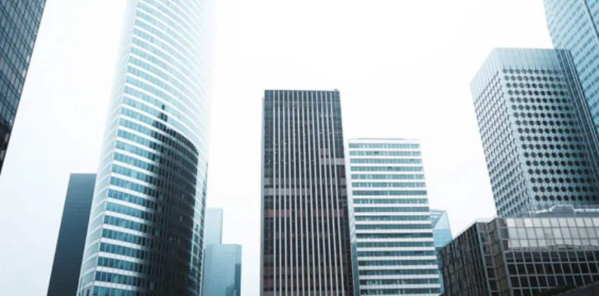 company_4_1733465206851_1733465215415.png