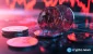 crypto-news-price-action-crashes-option05.webp.webp