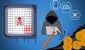 cryptomining_malware_shutterstock.jpg