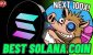 solana-rally-could-trigger-this-meme-coin-trading-bot.jpg