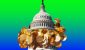 071425-crypto-genius-act.jpg