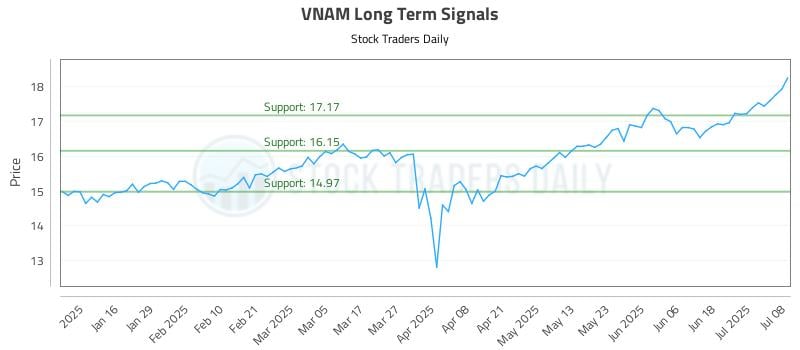 578451_VNAM_graph.jpg