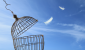 9772f6ce53c94ae031d189f33c53a4f2.png